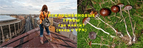таблы Сковородино